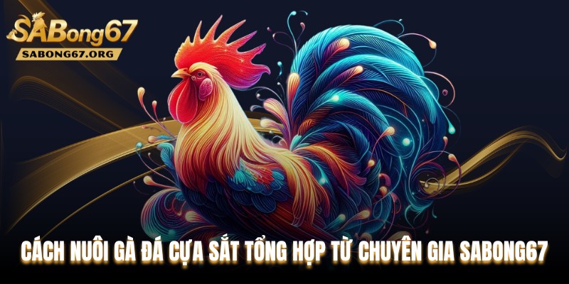 Cách Nuôi Gà Đá Cựa Sắt Tổng Hợp Từ Chuyên Gia SABONG67