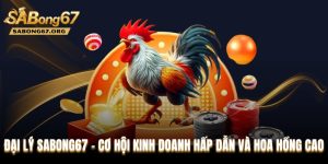 Đại Lý SABONG67 - Cơ Hội Kinh Doanh Hấp Dẫn Và Hoa Hồng Cao