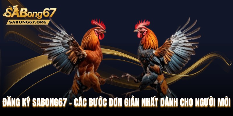 Đăng Ký SABONG67 - Các Bước Đơn Giản Nhất Dành Cho Người Mới