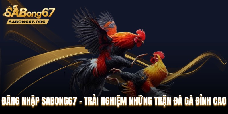 Đăng Nhập SABONG67 - Trải Nghiệm Những Trận Đá Gà Đỉnh Cao