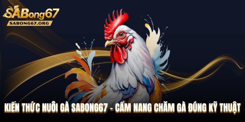 Kiến Thức Nuôi Gà SABONG67 - Cẩm Nang Chăm Gà Đúng Kỹ Thuật