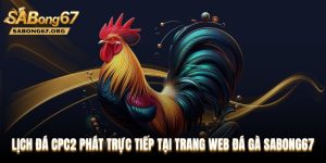 Lịch Đá CPC2 Phát Trực Tiếp Tại Trang Web Đá Gà SABONG67