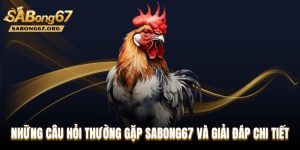 Những Câu Hỏi Thường Gặp SABONG67 Và Giải Đáp Chi Tiết