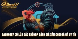 SABONG67 Có Lừa Đảo Không? Đánh Giá Sân Chơi Đá Gà Uy Tín