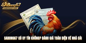 SABONG67 Có Uy Tín Không? Đánh Giá Toàn Diện Về Nhà Cái