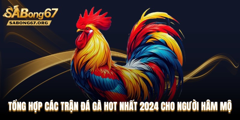 Tổng Hợp Các Trận Đá Gà HOT Nhất 2024 Cho Người Hâm Mộ